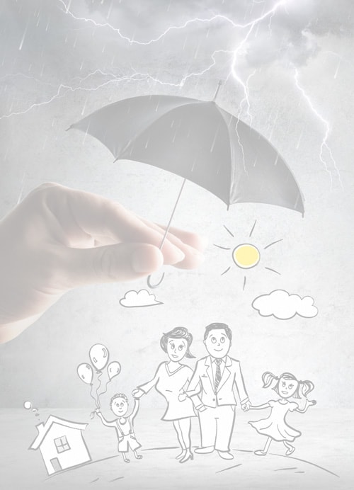 Umbrella covering family
